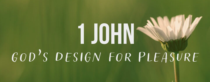 Featured image for 1 John - God's Design for Pleasure